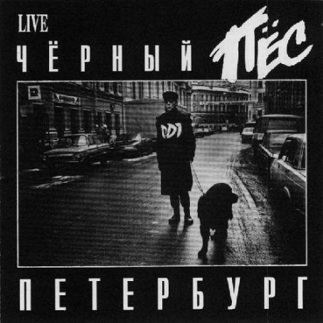 ддт черный пес петербург текст