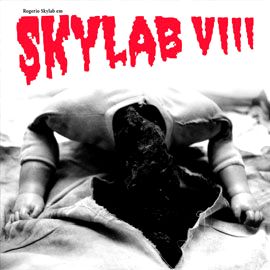Skylab VIII