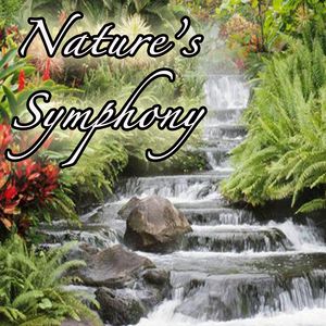Nature's Symphony: Music from Outdoors, Nature, Environment, Earth, and Life - Genesis
