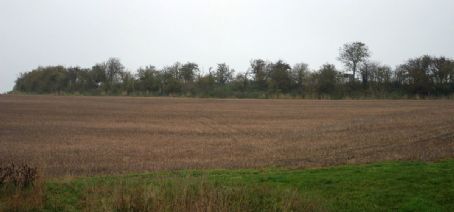 Arbury Banks, Hertfordshire