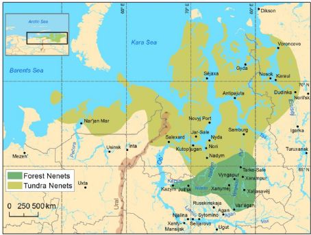 Nenets languages