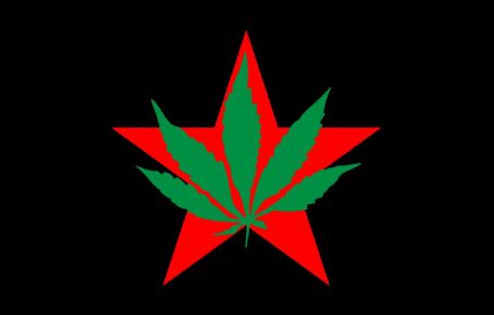 Youth International Party
