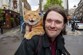 James Bowen (author)