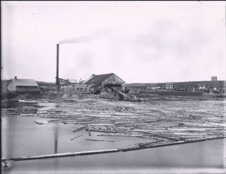 Botwood