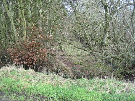 Scots' Dike