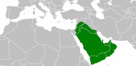 Abu Bakr