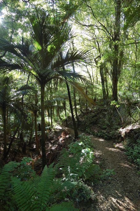 Belmont Regional Park