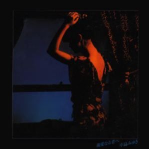 Shin'ai Naru Mono e