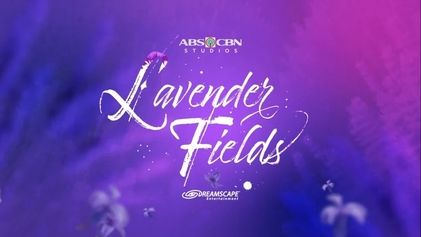 Lavender Fields