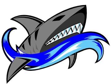 Perth Sharks (Sports Team) - FamousFix