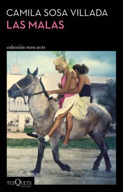 Bad Girls (Sosa Villada novel)