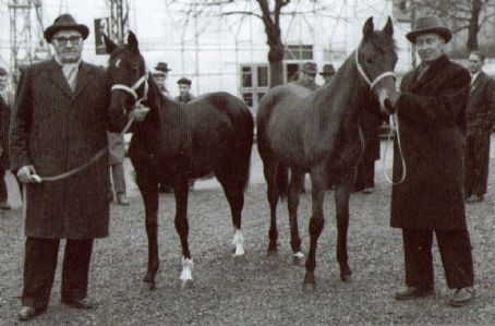 Toivo Pohjala