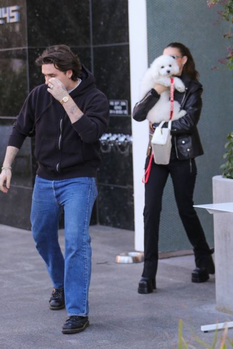 Nicola Peltz – Seen with her dog at Sweetgreen health food restaurant in Beverly Hills