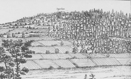 Battle of the Alte Veste