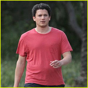 Wentworth Miller 'Still Working' On His Tree Trunk Arms