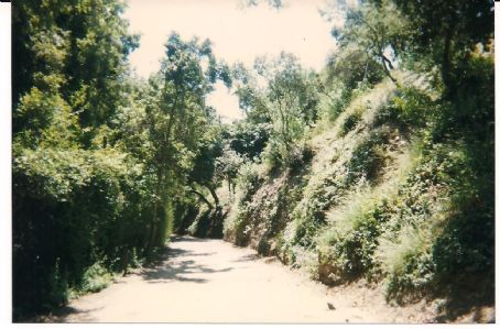 10050 Cielo Drive