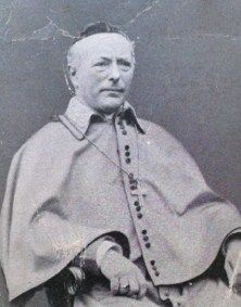 Gerardus Gul