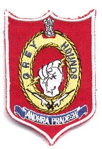 Greyhounds (police)