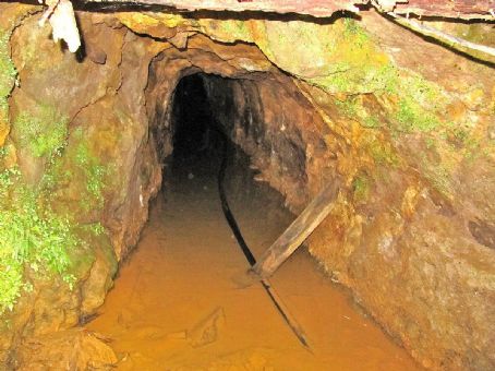 Tui mine