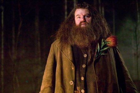 Harry Potter and the Goblet of Fire - Robbie Coltrane