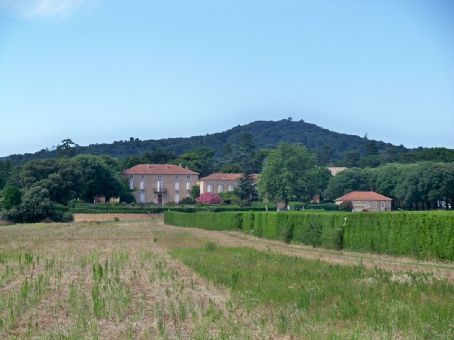 Uchaux massif