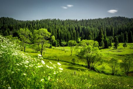 Rhodope Mountains