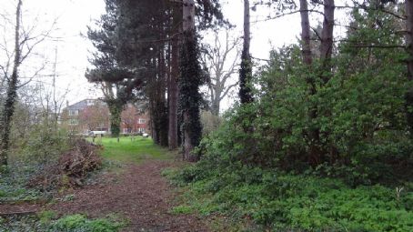 Sutton Ecology Centre Grounds