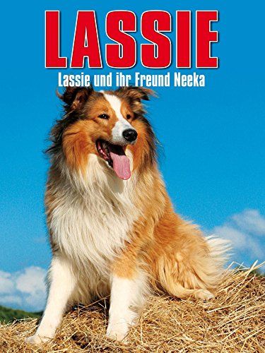 Lassie: The Adventures of Neeka