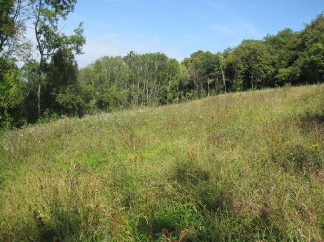 Saltbox Hill