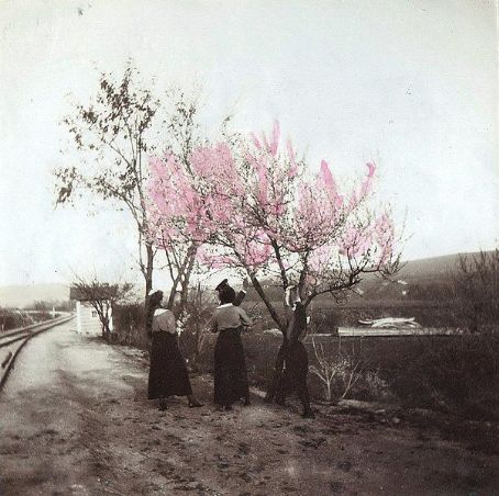 Constantine Bagration of Mukhrani Pictures Constantine Bagration of