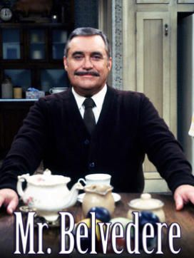 Mr. Belvedere